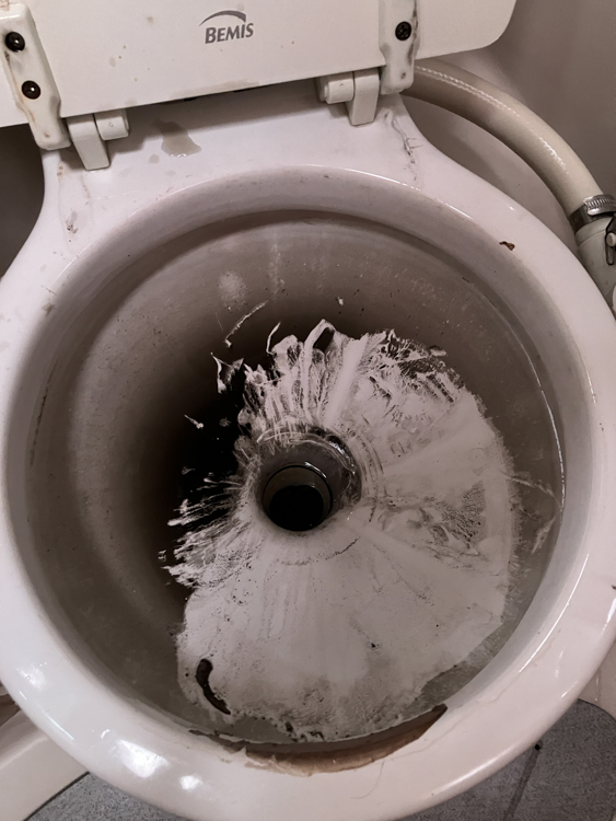 Oily black goo in the toilet bowl